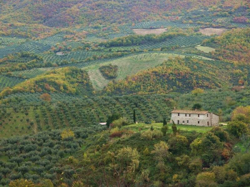 Sabina sublime-Dettagli d''autunno